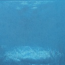 1720_S-61