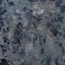 2130_F-117-015