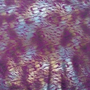 2210_F-370-004