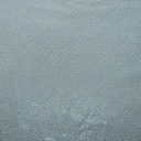 2370_S-61