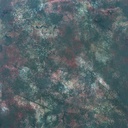 2560_F-021-006