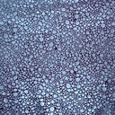 YM-07_1980