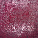 S-02_3280