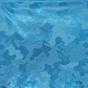 S-61_2010