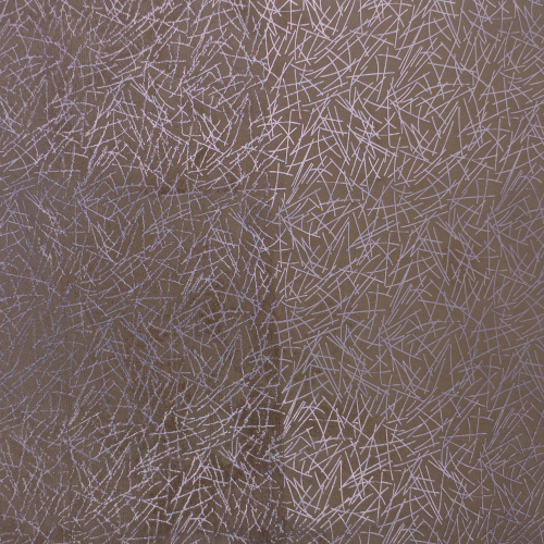 SM-06_2070