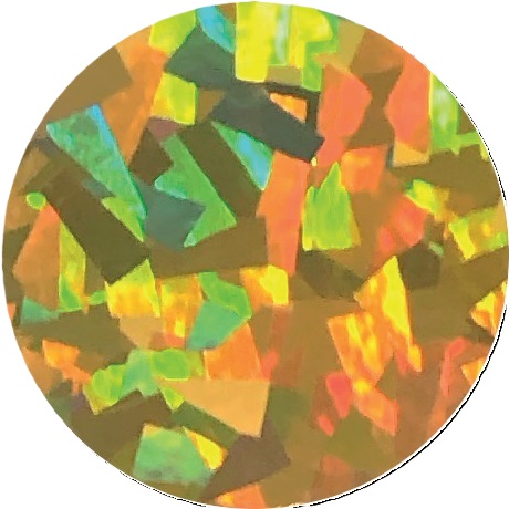FPC-H21